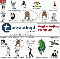 Buku Tafsir Mimpi Togel 2024